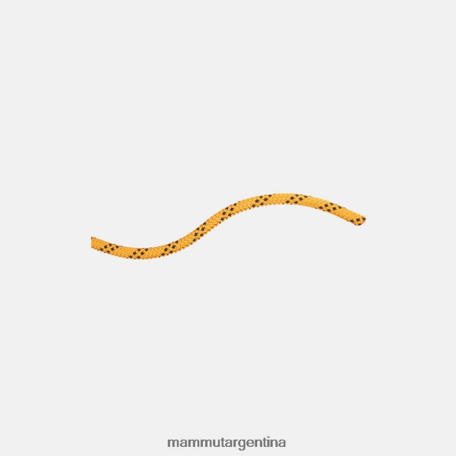 10.0 rendimiento estático unisexo 2B8PD21414 Mammut amarillo-negro equipo